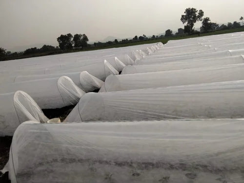 Crop Cover 17 GSM 3.2M*400M (10.5 feet)