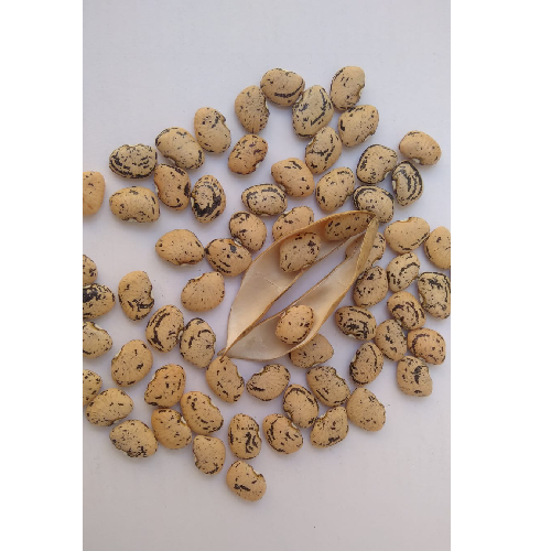 Sahajaseeds Flat bean Seeds