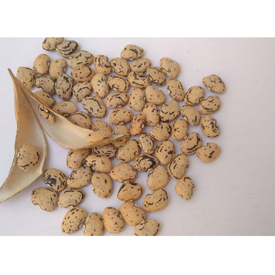 Sahajaseeds Flat bean Seeds