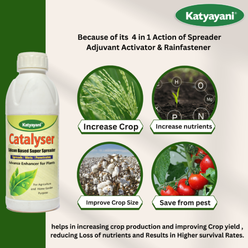 Katyayani Catalyser Silicon Superspreader