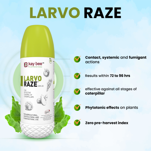 Kay Bee Bioorganic Larvo Raze(Larvicide)