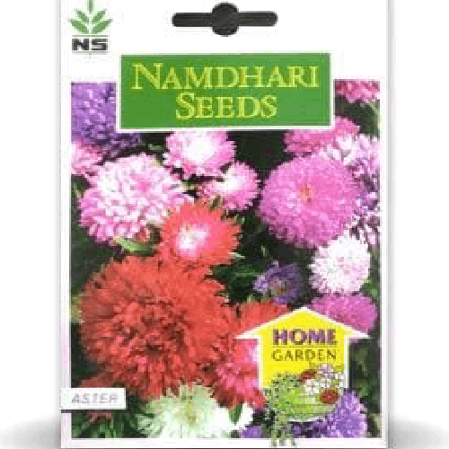 NAMDHARI Aster Dwarf CC Mix Seeds