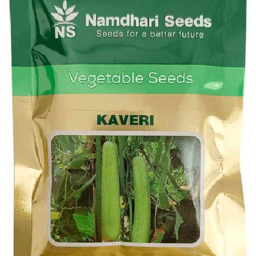 NAMDHARI Kaveri Bottle Gourd Seeds