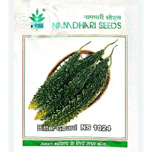 NAMDHARI NS 1024 Bitter Gourd Seeds