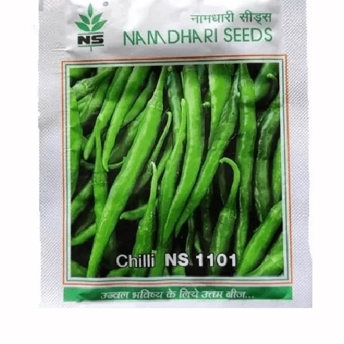 NAMDHARI NS 1101 Chilli Seeds