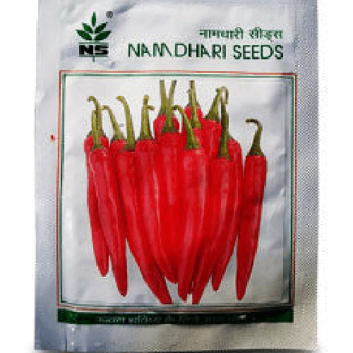 NAMDHARI NS 1840 Chilli Seeds