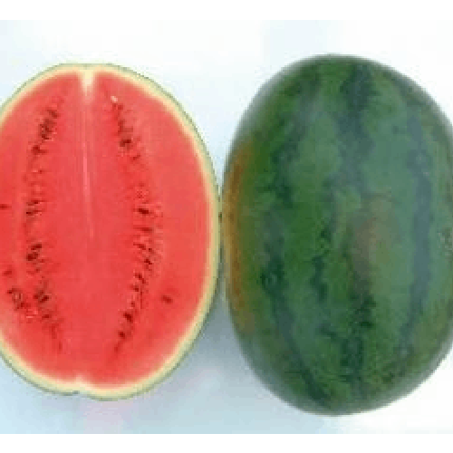 NAMDHARI NS 20 Watermelon Seeds