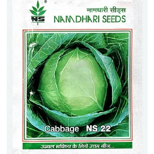 NAMDHARI NS 22 Cabbage Seeds