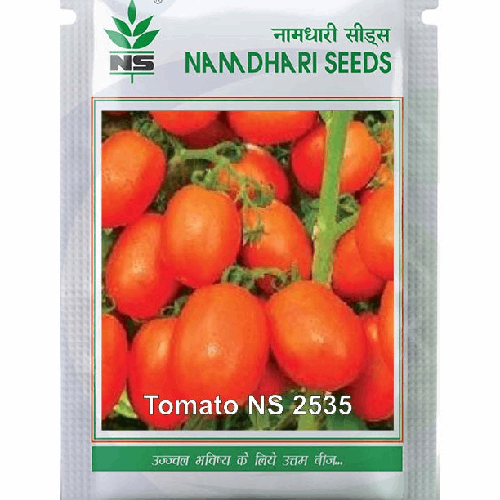 NAMDHARI NS 2535 Tomato Seeds