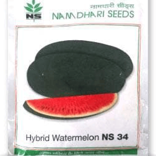 NAMDHARI NS 34 Watermelon Seeds