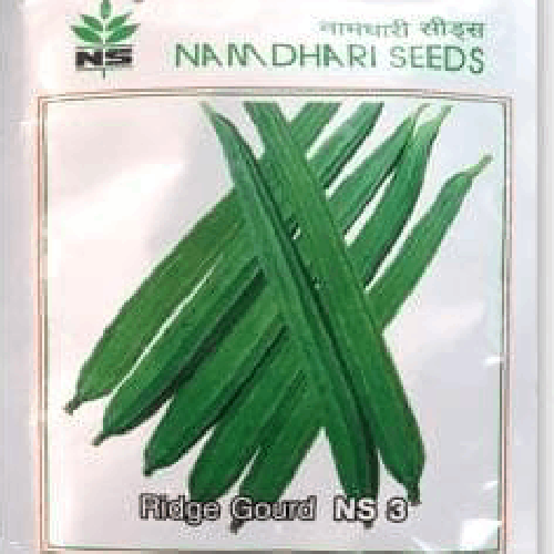 NAMDHARI NS 3 Ridge Gourd Seeds