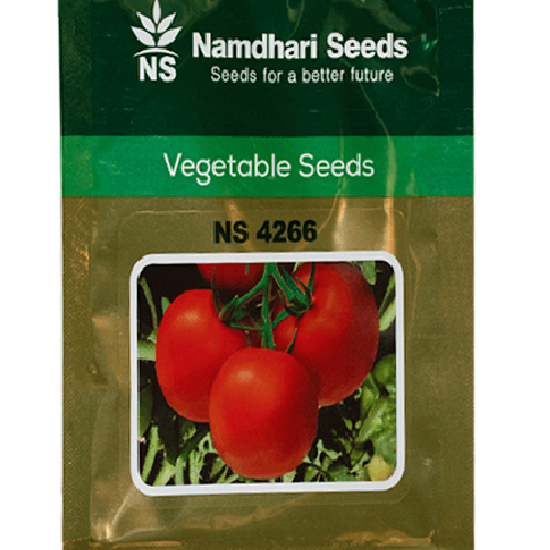 NAMDHARI NS 4266 Tomato Seeds