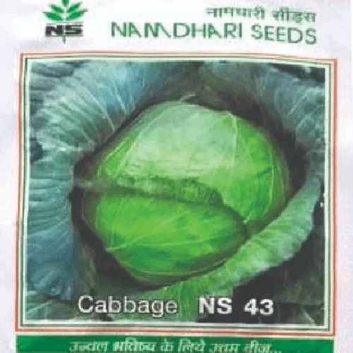 NAMDHARI NS 43 Cabbage Seeds