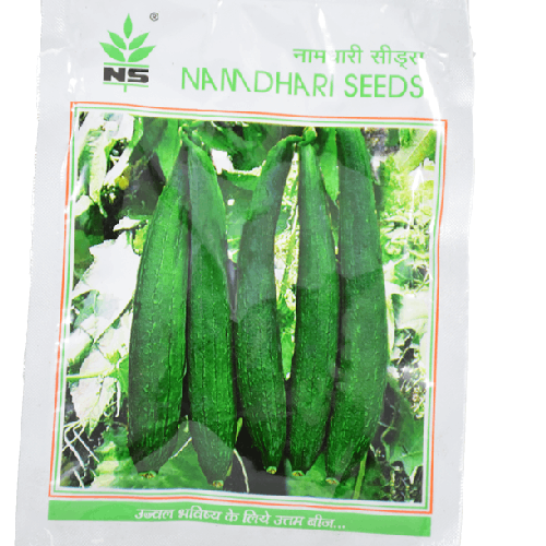 NAMDHARI NS 441 Sponge Gourd Seeds