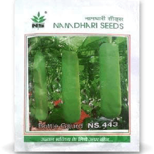 NAMDHARI NS 443 Bottle Gourd Seeds