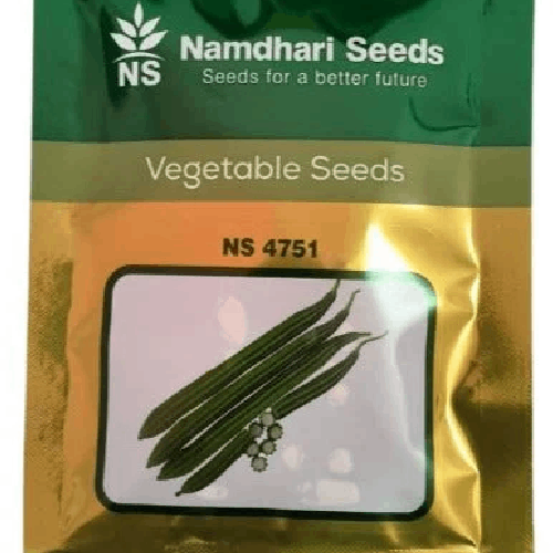 NAMDHARI NS 4751 Ridge Gourd Seeds