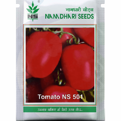 NAMDHARI NS 501 (6H 81) Tomato Seeds