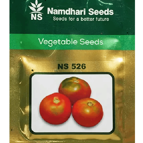 NAMDHARI NS 526 Tomato Seeds