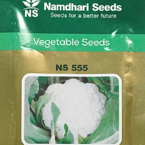 NAMDHARI NS 555 Cauliflower Seeds