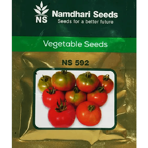 NAMDHARI NS 592 Tomato Seeds