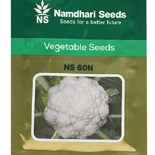 NAMDHARI NS 60N Cauliflower Seeds