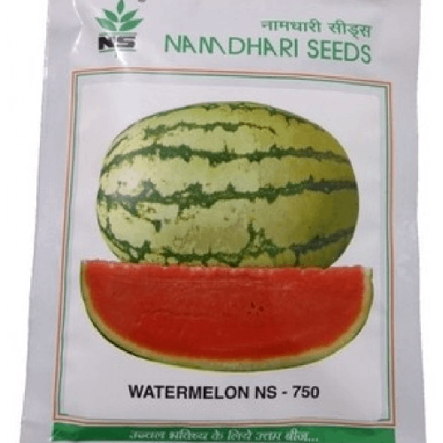 NAMDHARI NS 750 Watermelon Seeds