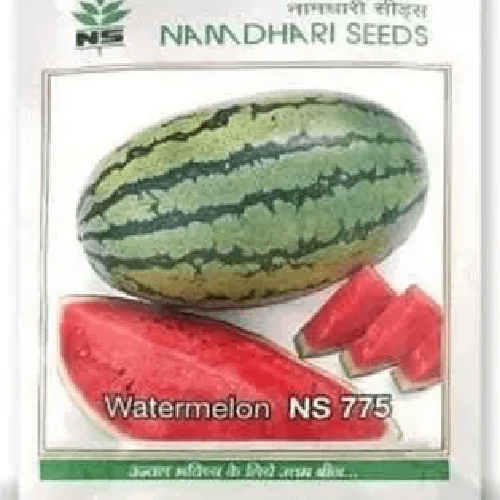 NAMDHARI NS 775 Watermelon Seeds