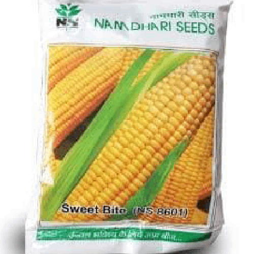 NAMDHARI NS 8601 Sweet corn Seeds