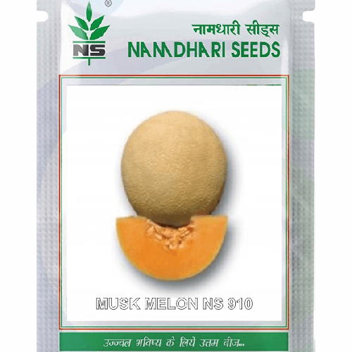 NAMDHARI NS 910 Muskmelon Seeds