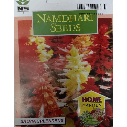 NAMDHARI NS Salvia Salsa Seeds