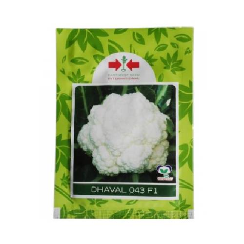 Dhaval 043 Cauliflower F1