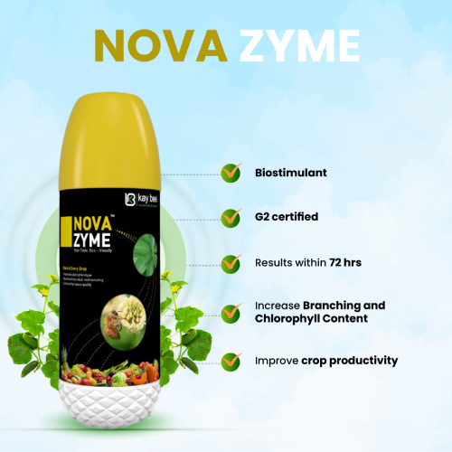 Kay Bee Bioorganic Nova Zyme (seaweed Ascophyllum nodosum)