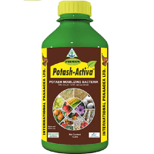 IPL Potash Activa (Potash Mobilizing Bactiria)