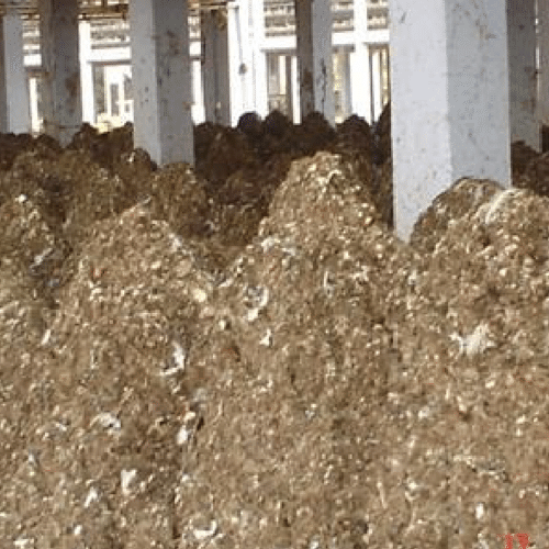 Poultry manure