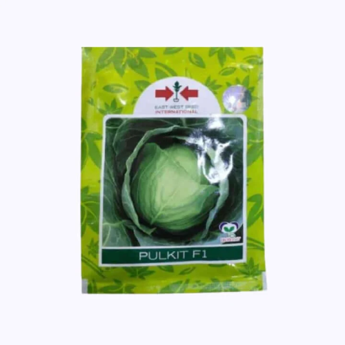 Pulkit Cabbage seeds