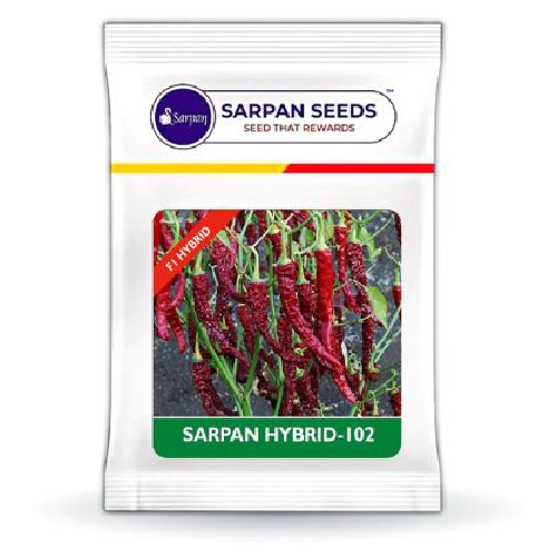 Sarpan -102 ( Dabbi Byadgi Chilli Seeds )