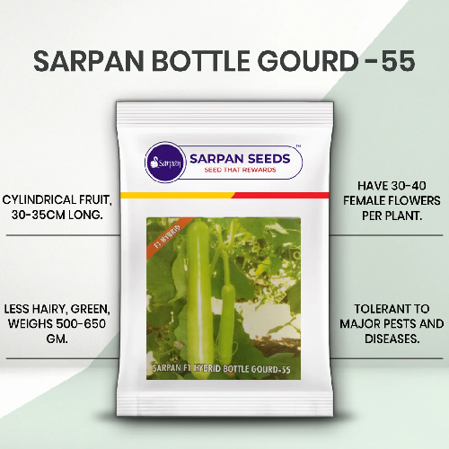 Sarpan Bottle gourd-55