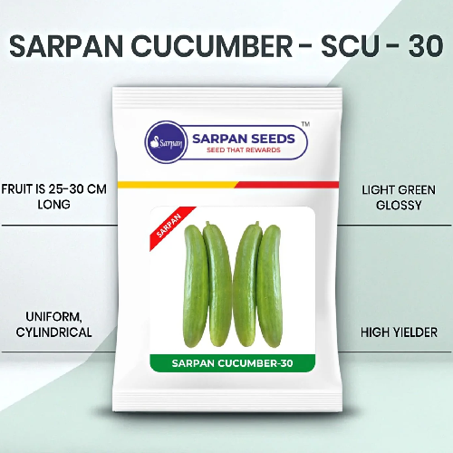 Sarpan Cucumber –SCU-30