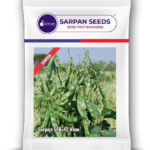 Sarpan Dolichus SFB-42 Vine Hybrid Seeds