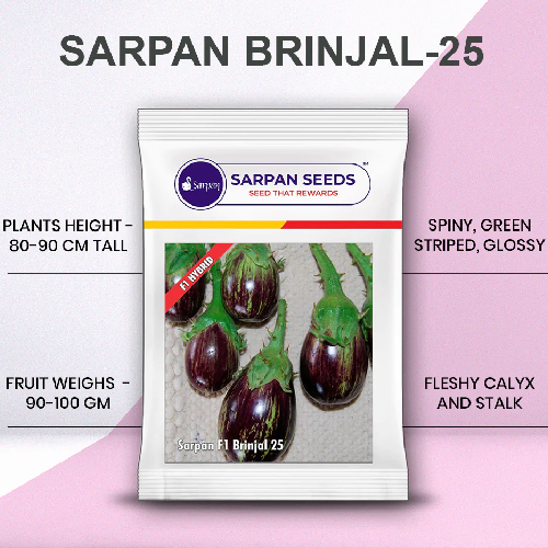 Sarpan F1 Brinjal-25