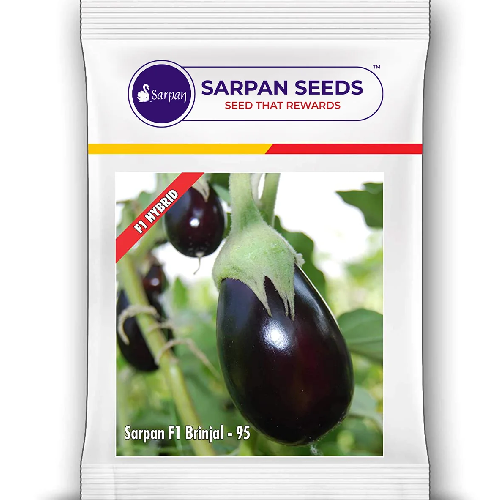 Sarpan F1 Brinjal-95-Manjari Type Seeds