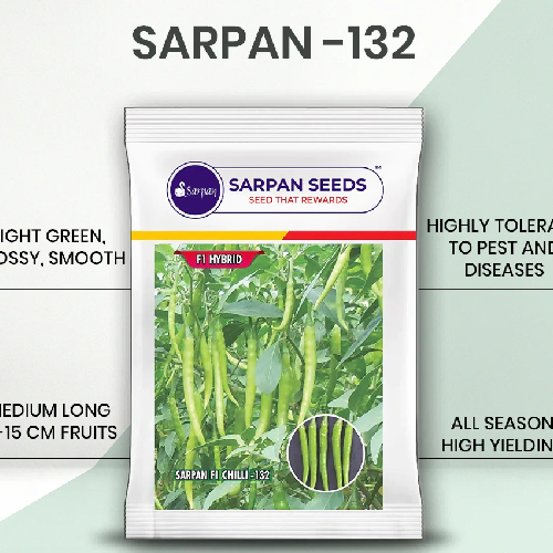 Sarpan F1 Chilli 132 Seeds