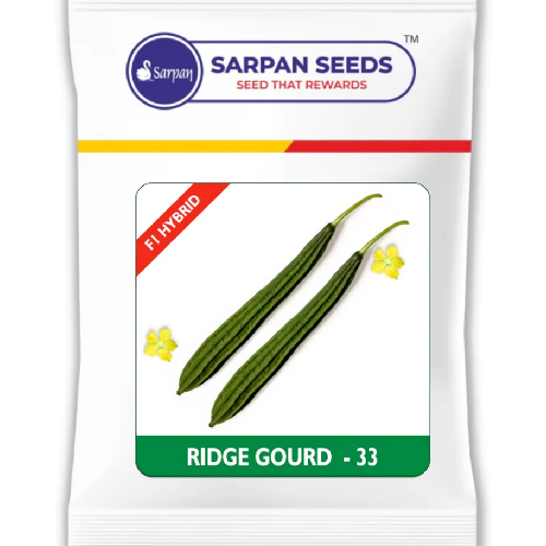 Sarpan F1 Ridge gourd-33