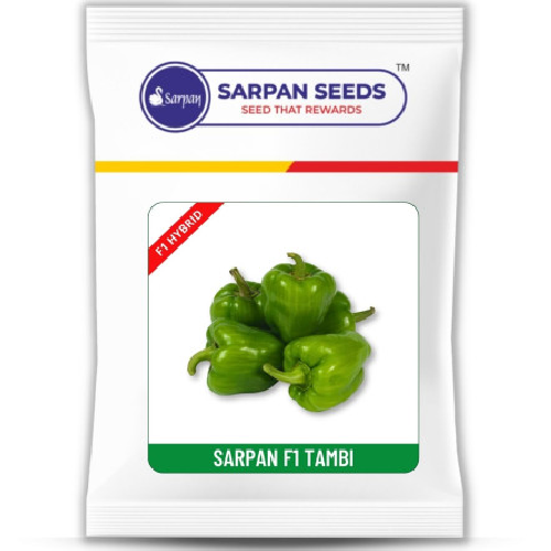 Sarpan F1 Tambi Hybrid Baby Capsicum Seeds