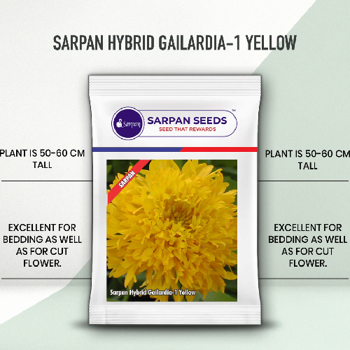 Sarpan Hybrid Gailardia-1-Yellow