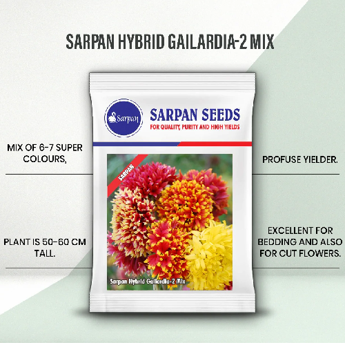 Sarpan Hybrid Gailardia -2 Mix