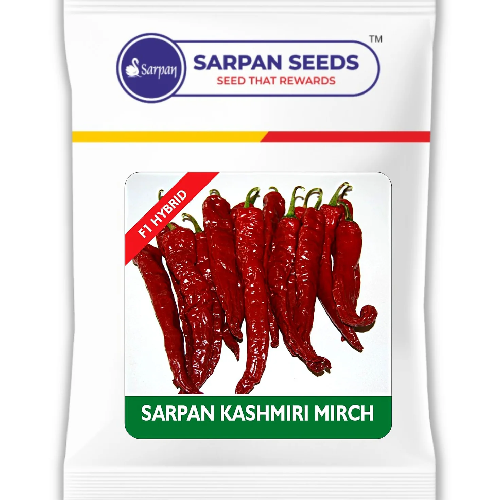 Sarpan Kashmiri Chilli Seeds