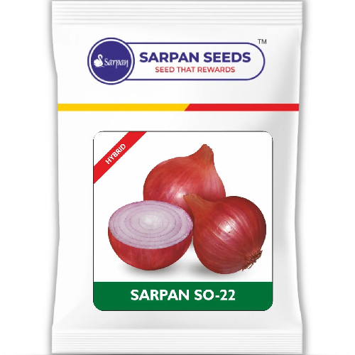 Sarpan So-22 Onion Seeds