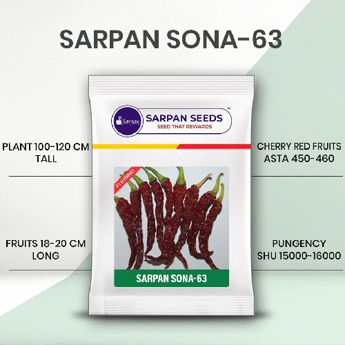 Sarpan Sona 63 Chilli Seeds