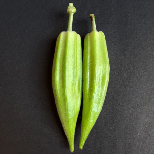 Sahajaseeds Okra Green Star Seeds